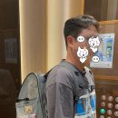 고양이샵 | 페르시안친칠라 반려묘 털깎기와 목욕. 양산 고양이 무마취 미용샵. &#39;틱독&#39; 후기 TICDOG