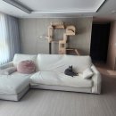 비피에프캣 | 고양이 아파트 펜트하우스 BPF 대형 캣타워 리빌드 제품 내돈내산 6년 사용 후기 캣타워 고민 노노