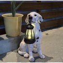 유달산의 아침 이미지