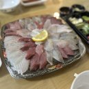 마마트속초교동점 | 강원도 속초) 내돈내산 속초 회포장 회가 | 당일...기대 반 실망 반 솔직 후기 /신유네 회포장 예약...