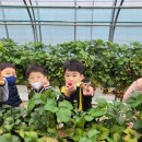 선혜유치원 이미지