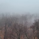 쉬는나무한의원 이미지