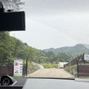 용인휴캠핑장 키즈캠핑장 애견동방가능캠핑장 -우당탕탕 초보캠퍼 후기-