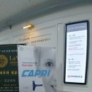 라비에피부과의원 이미지