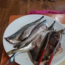 속초 생선구이 이미지