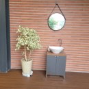 더멍멍컴퍼니 이미지