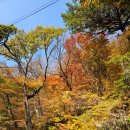 범어사 | [부산] 가을 부산 범어사 단풍놀이 후기 - 유료,무료 주차장 + 버스로 가는법