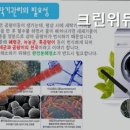 위듀