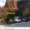 첼시빌 이미지