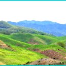 한진목장 이미지