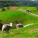 달아목장 이미지