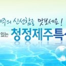 제주쇼핑몰