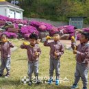 강구초등학교병설유치원 이미지