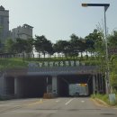 능곡동 선사유적 이미지