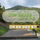 진주 동산리 동안 | 월아산 자연휴양림 야영장 예약 치열한 이유! 가족과 다녀온 리얼 후기 대공개
