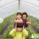 주선목장 Daum카페