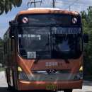 칠성시장 (삼성) | 서울 ➡️ 광주 시내버스 당일치기 여행