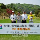 한국체력향상협회 스포츠서울
