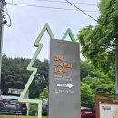 김해 목재문화박물관 | 아이랑 나무놀이터 체험 예약
