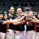 에스와이바자르 이미지