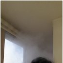 네모클린 사회적협동조합 이미지