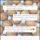 으니네보물창고