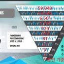 비지니스퓨처