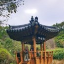 생각이 자라는 나무 | 서울근교 파주여행 구절초명소 전망대 힐링산책로 율곡수목원 풍경 솔직후기