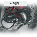 기린한의원 이미지