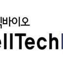 라윤 이미지