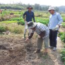 대촌농장 이미지