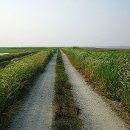 계화도마을 이미지