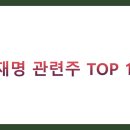 상지환경산업(주) | 이재명 관련주 TOP 10 총정리 (에이텍, 오리엔트정공, 상지건설 등)