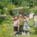 조마초등학교유치원 이미지