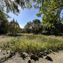 산림박물관 온실화장실 이미지