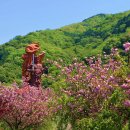 一心寺 大分 (잇신지 오이타) 이미지