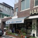 대전문정초교 | [대전] 올리브팜 베이커리 | 샌드위치,식사빵 맛집 | 내돈내산 솔직후기 | 대전 빵지순례 | 둔산동 빵집