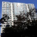 영통이편한치과의원 이미지