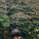 엔티보옴므 이미지