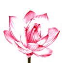 오솔길문구