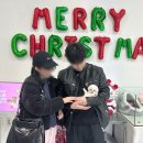 1934 | 미니비숑분양 멍냥스타 분양 후기 (1934)