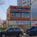 ㈜뉴금강산렌트카 | 가족여행·골프투어에 완벽한 더뉴카니발 9인승 출시 청주렌트카 MJ렌트카