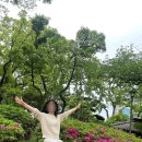 첫 일본 여행❤️-오사카(2) / 오사카 명소 추천 (덴덴 타운, 덴노지 동물원, 하루 카스 300 전망대 등)✈️