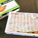 참좋은몰 이미지