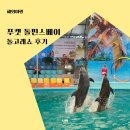 맘씨좋은커피 | 푸켓 돌고래쇼 시간 좌석 자리 돌핀스베이 준비물 예약 후기