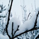 분당미켈란치과의원 이미지