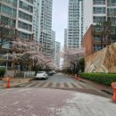 세왕부동산공인중개사사무소 이미지