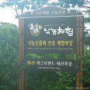 태신농장 티스토리