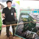 강서구-14 이미지