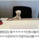 메이플동물병원 이미지